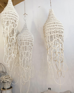 MEDUSE
